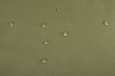 3204994TH-6.jpg