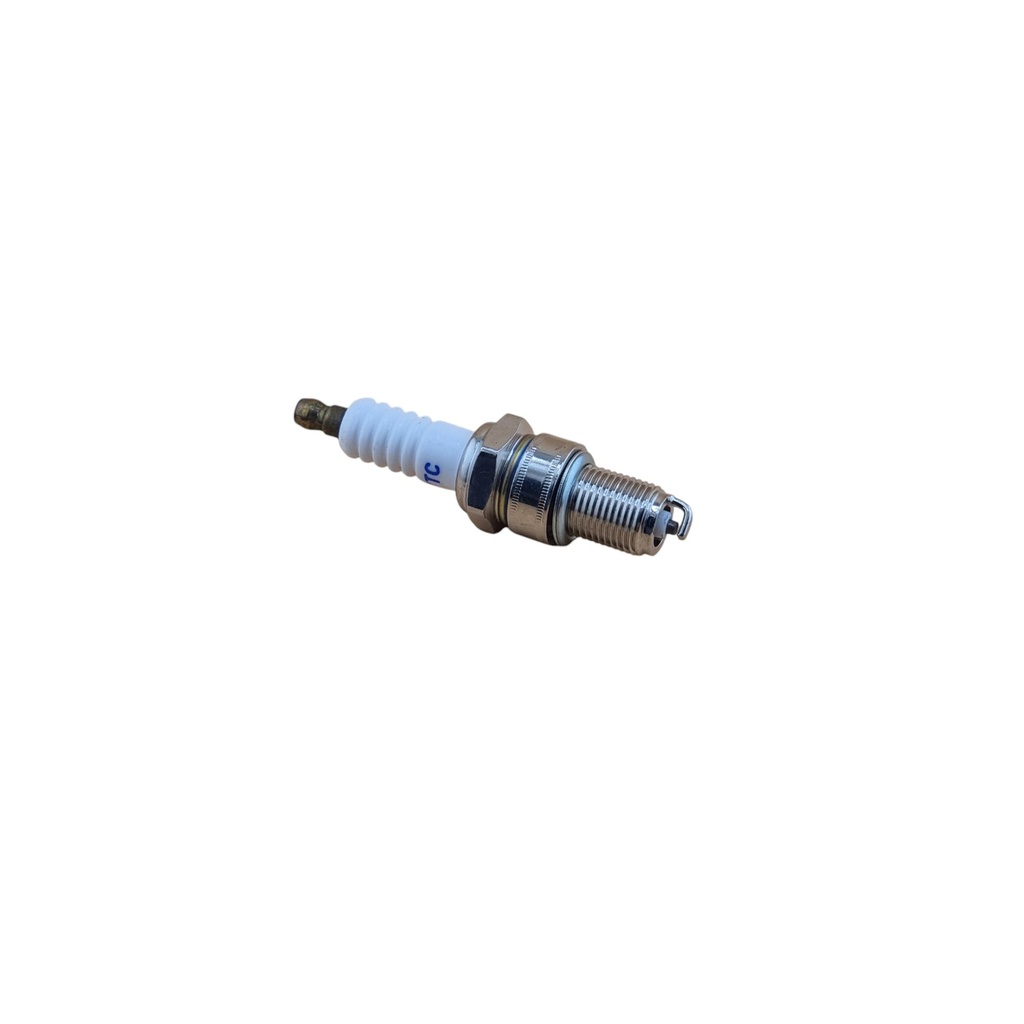 Spark plug (Bujia)