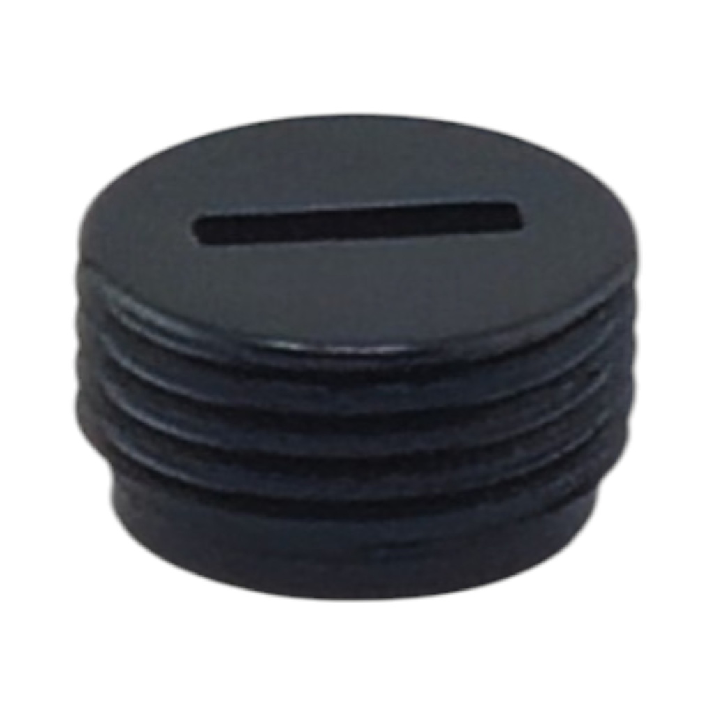 Tapa de carbon